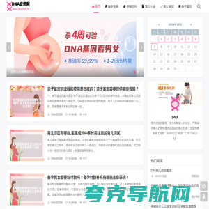 DNA资讯网 - 清宫图表预测