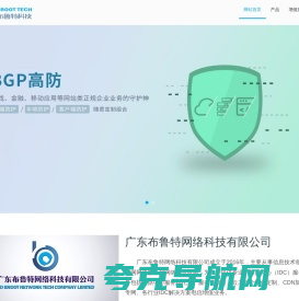 广东布鲁特网络科技有限公司