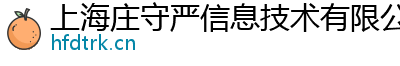 上海庄守严信息技术有限公司