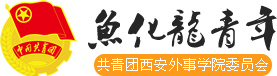 共青团西安外事学院委员会