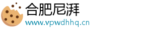 合肥尼湃网络科技有限公司