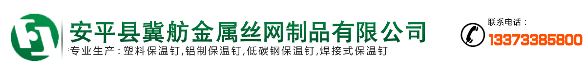 低碳保温钉-外墙保温钉-安平县冀舫金属丝网制品有限公司