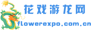 花戏游龙网 - 单机游戏大全_最新单机游戏下载_大型中文游戏媒体！