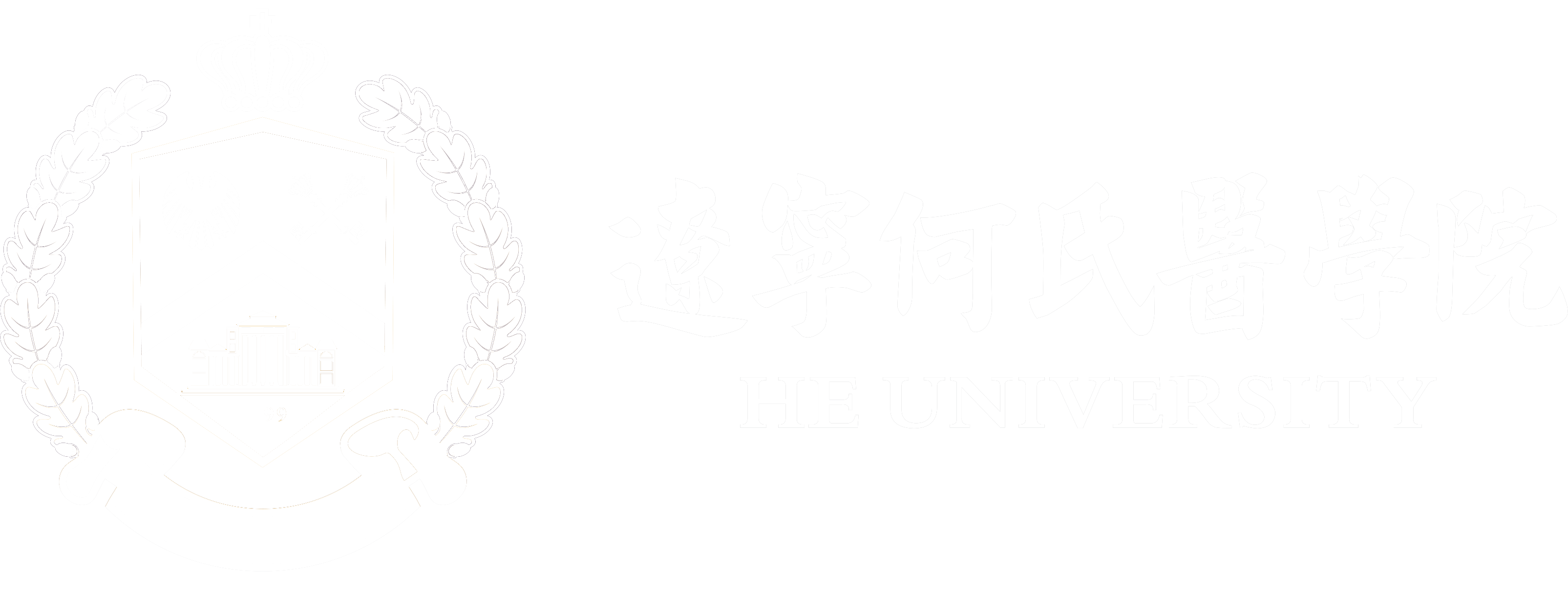 辽宁何氏医学院|中国未来的斯坦福