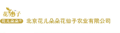 首页―北京花仙子园艺―专业种子培育，批发零售各种花卉、花种、苗木