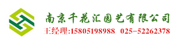 网红南京绿植租赁_花卉出租_办公室租花_植物租摆推荐南京千花汇园艺有限公司