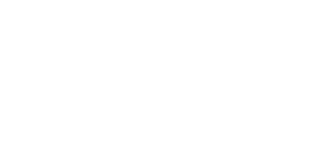 首日芽 - 高端白茶代表性品牌,不是所有白毫银针都叫首日芽