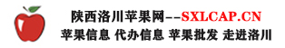 洛川苹果_洛川苹果经纪代办_洛川苹果批发_陕西洛川苹果网