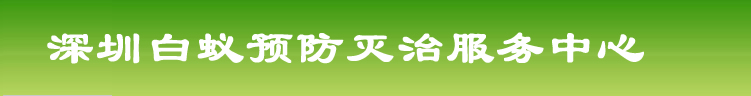 深圳市白蚁防治服务中心-家里有白蚁怎么办？