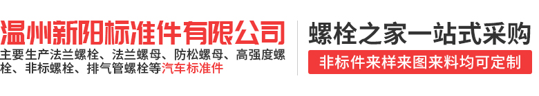 六角法兰面螺栓-外六角法兰螺丝-法兰面带齿螺栓-温州新阳标准件有限公司